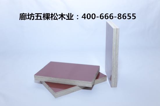 建筑模板施工應(yīng)用應(yīng)注意什么？